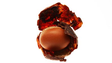 Finest Ingredients On Earth Article 2 Kérastase